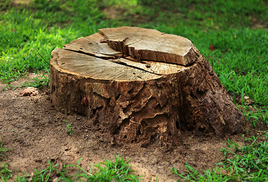 stump removal company in laplace